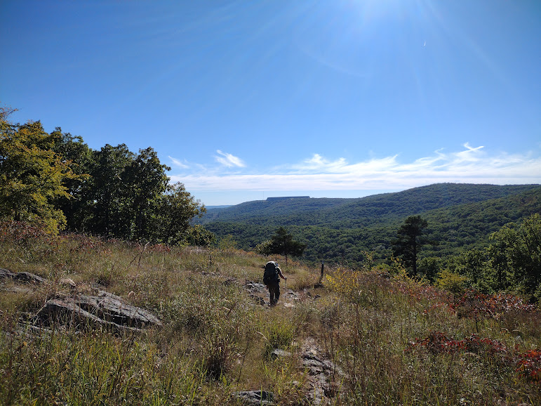 Article Proffit Mtn2