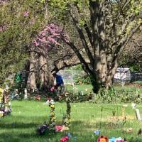 Michael-Smith---IMG_2563