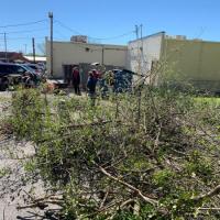 Michael-Smith---IMG_2572