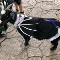 311114074_10222742558495804_3466038627250931180_n