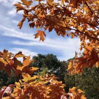 311140188_10222742558815812_1162347088337488794_n