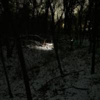 321572429_718005909855458_7553862167407190368_n